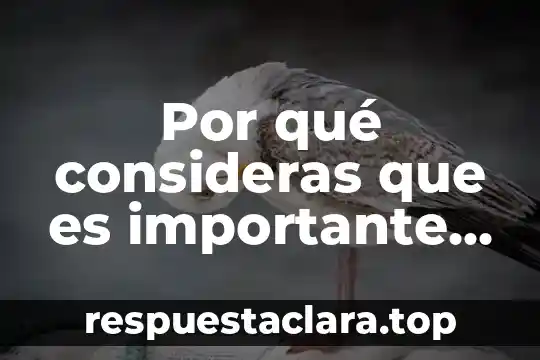 Por qué consideras que es importante estudiar física