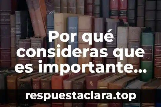 Por qué consideras que es importante innovar