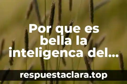 Por que es bella la inteligenca del ser humano filosofia