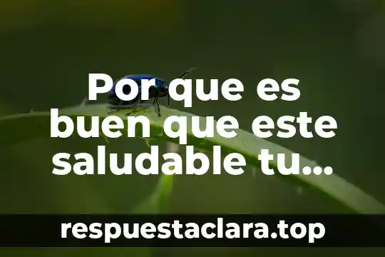 Qué es alimentación saludable definición 3 Por que es buen que este saludable tu cuerpo