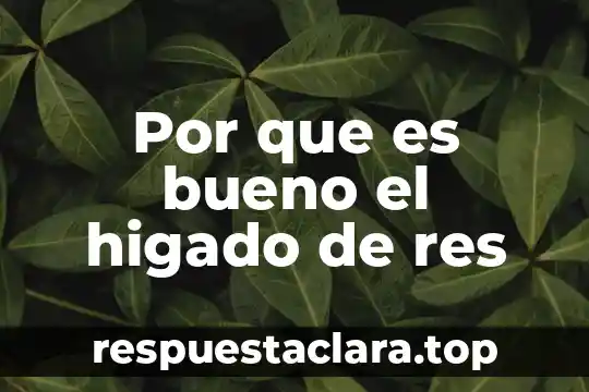 Por que es bueno el higado de res