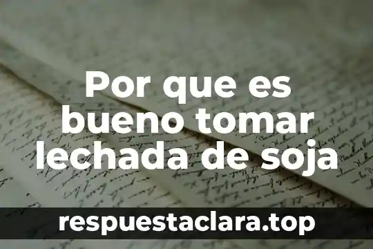 Investigar aspetos devellesa que es benelalan al tomar agua 8 Por que es bueno tomar lechada de soja