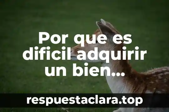Por que es dificil adquirir un bien material