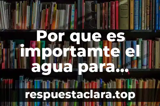Por que es bueno tomar lechada de soja 4 Por que es importamte el agua para tomar