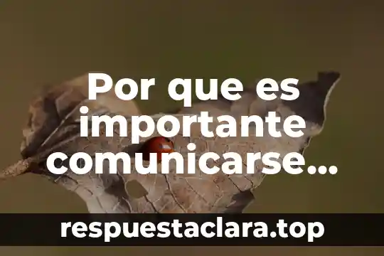 Por que es importante comunicarse de manera correcta y eficaz