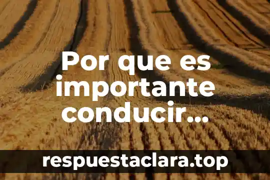 Por que es importante conducir nuestra sabiduría