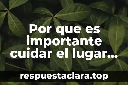 Por que es importante cuidar el lugar donde vivimos