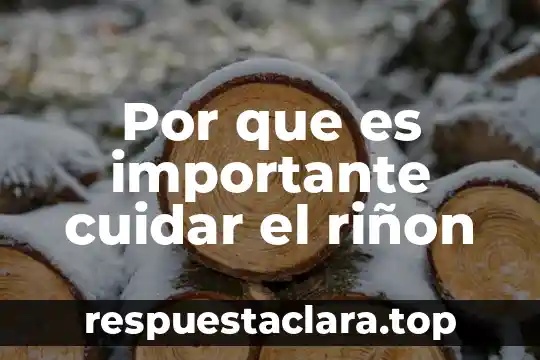 Por que es importante cuidar el riñon