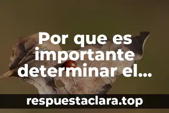 Por que es importante determinar el hematocrito en posibles donantes