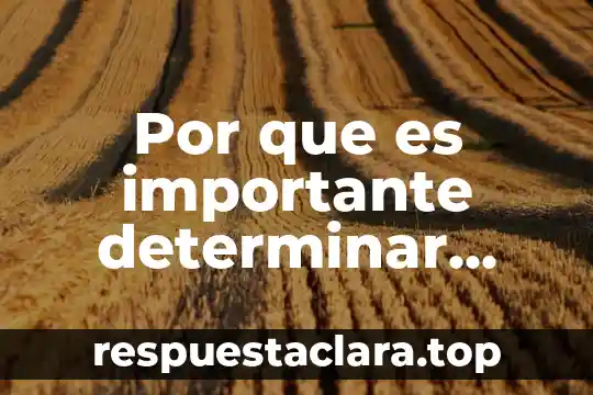 Por que es importante determinar fibra en palomitas