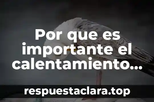 Por que es importante el calentamiento previo en los deportes