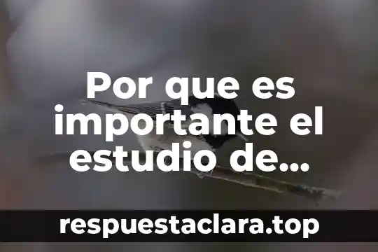 Por que es importante el estudio de geotecnia en edificacion