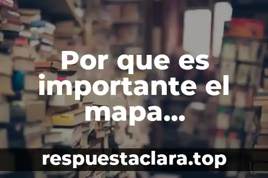 Que es concepto curricular 3 Por que es importante el mapa curricular
