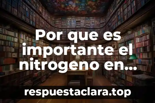 Por que es importante el nitrogeno en nuestro cuerpo