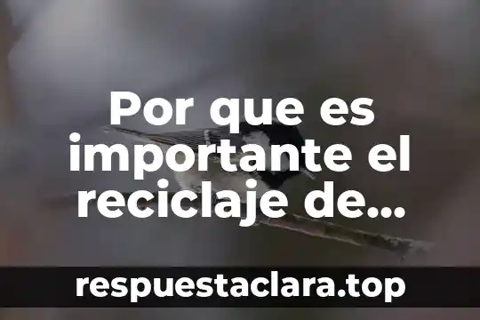 Por que es importante el reciclaje de cuadernos