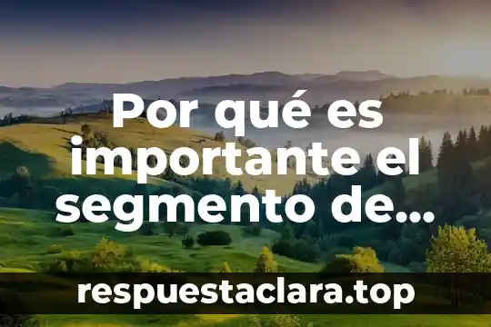Por qué es importante el segmento de mercado