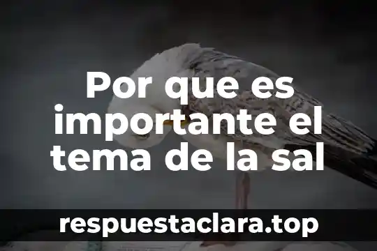 Por que es importante el tema de la sal