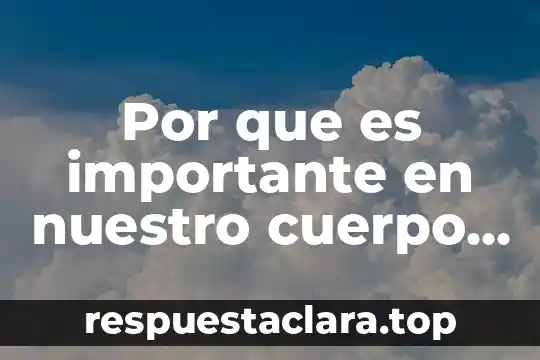 Por que es importante en nuestro cuerpo el adn