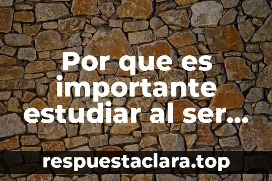 Por que es importante estudiar al ser social