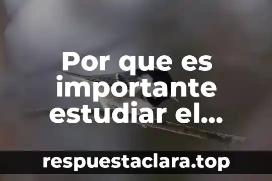 Qué es interés simple y compuesto ejemplo 5 Por que es importante estudiar el compuesto de los alimentos