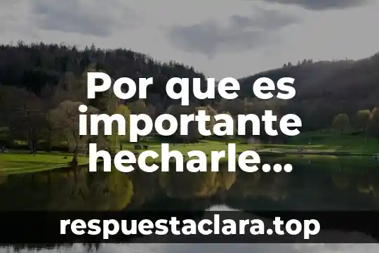 Por que es importante medir los compuestos organicos volatiles 5 Por que es importante hecharle abonos organicos a las plantas