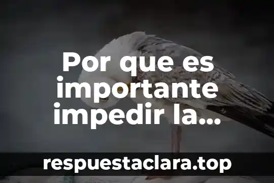 Por que es importante impedir la nitrificación en DBO