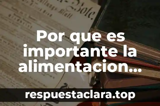 Que es un yaguarete animal 6 Por que es importante la alimentacion mexicana