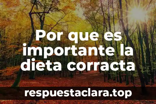 Por que es importante la dieta corracta