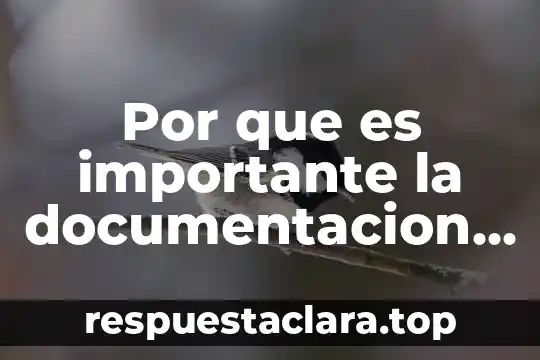 Por que es importante la documentacion de iso 9001