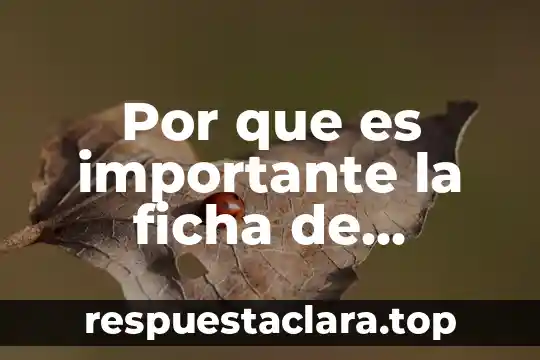 Por que es importante la ficha de identificación