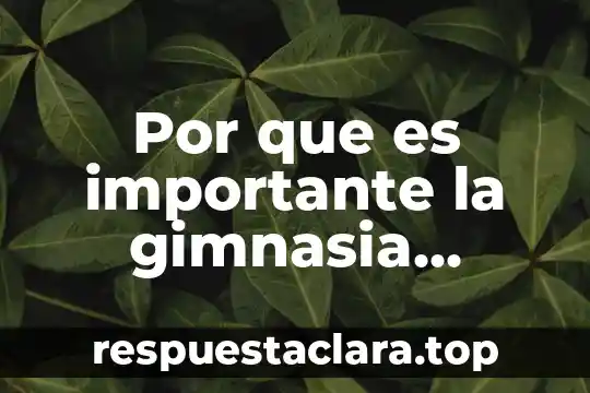 Qué significa y por qué es importante 3 Por que es importante la gimnasia prenatal