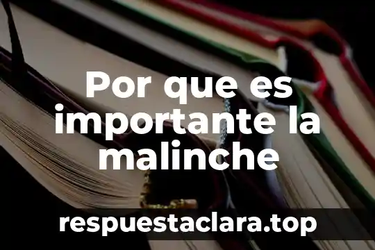Trece razones por la que es importante la historia 5 Por que es importante la malinche