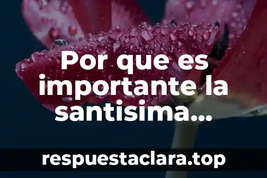 Por que es importante la santisima trinidad