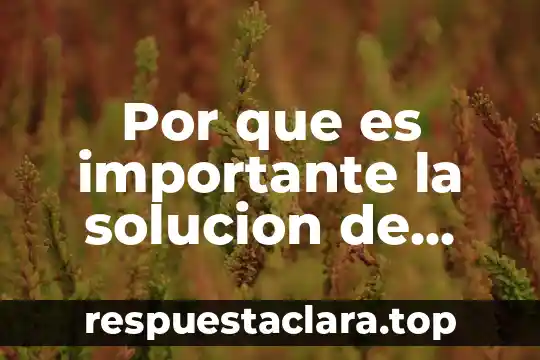 Por que es importante la solucion de problemas