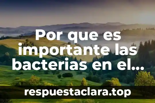 Por que es importante las bacterias en el suelo