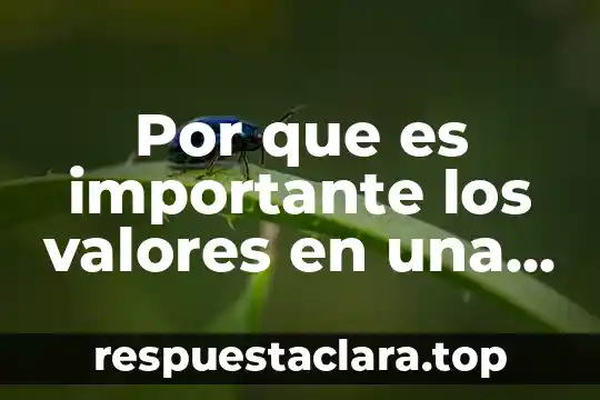 Por que es importante los valores en una empresa
