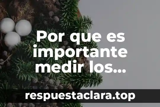 Qué es una fermentación por residuos orgánicos 3 Por que es importante medir los compuestos organicos volatiles
