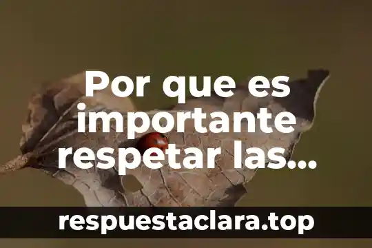 Por que es importante respetar a mi bandera 8 Por que es importante respetar las reglas en la escuela