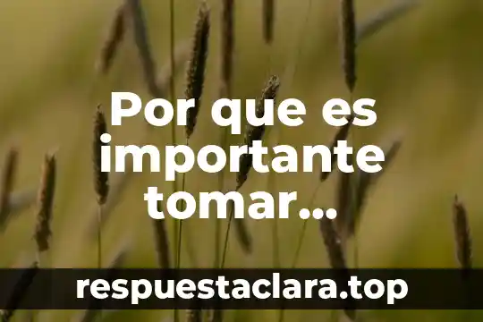 Por que es bueno tomar lechada de soja 5 Por que es importante tomar decisiones