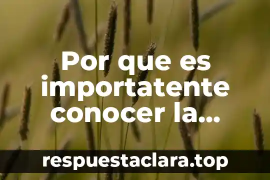 ¿Qué es la psicología organizacional? 4 Por que es importatente conocer la historia