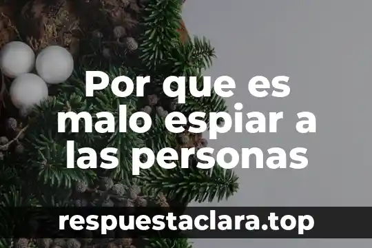 Que es la seguridad juridica de las personas 4 Por que es malo espiar a las personas