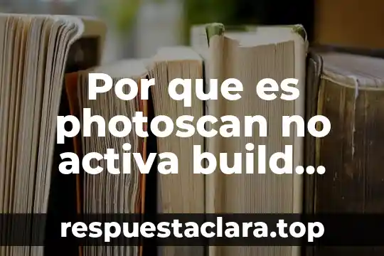 Por que es photoscan no activa build dem
