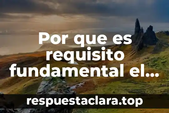 Qué es un burgo significado 7 Por que es requisito fundamental el archivo xml