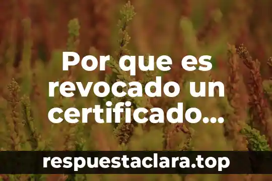 Por que es revocado un certificado digital