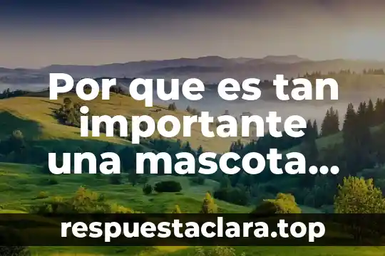 Significado bien definido de que es desigualdad 3 Por que es tan importante una mascota en una empresa