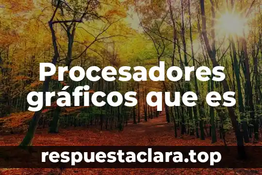 Procesadores gráficos que es
