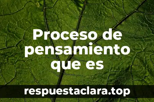 Proceso de pensamiento que es