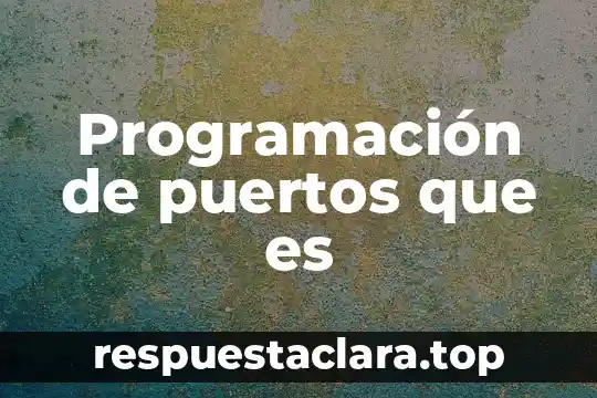 Programación de puertos que es