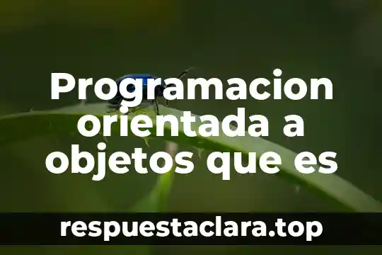 Que es la arquitectura de software orientada a servicios soa 4 Programacion orientada a objetos que es