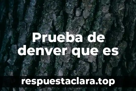 Prueba de denver que es